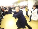Forma di Wudang Tai Ji