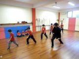 Forma di Tai Shing Pek Kwar