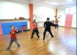 Forma di Tai Shing Pek Kwar