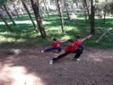 Forma di Tai Shing Pek Kwar