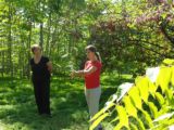 Lezione di Qi Gong