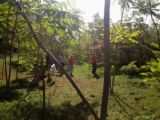 Lezione di Qi Gong